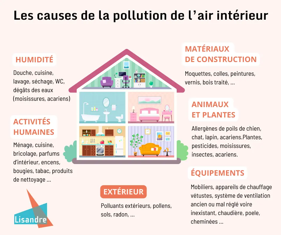 Infographie : Quelles sont les causes de la pollution de l'air intérieur d'un habitat