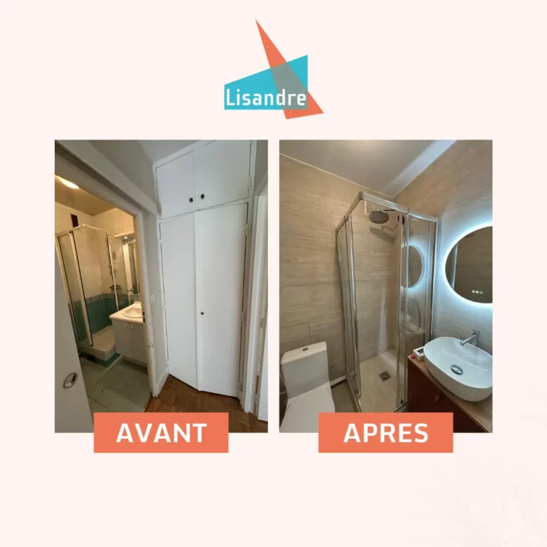 salle de bain restructurée dans un appartement à Paris